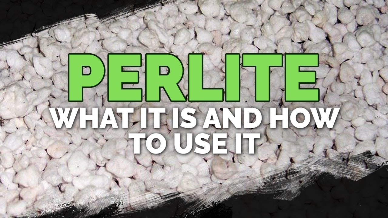 What Are Perlite And What Are Its Uses 39851 - What Are Perlite And What Are Its Uses?