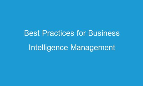 best practices for business intelligence management 94010 1 - Best Practices for Business Intelligence Management