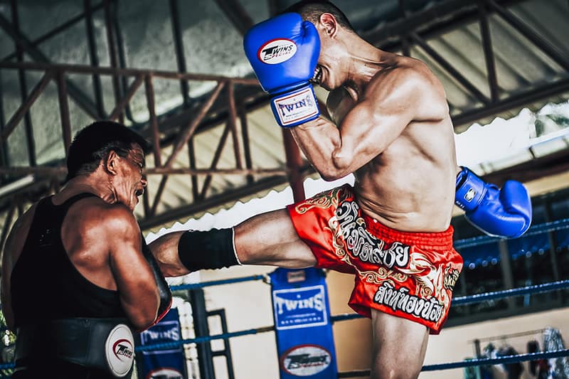 Power of Muay Thai camp for weight loss in Thailand of business with fitness center  111883 1 - Power of Muay Thai camp for weight loss in Thailand of business with fitness center         